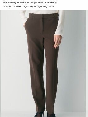 Babaton Straight-Leg High-Rise Pants in Brown